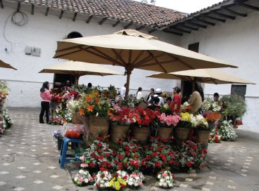 Flower Cart Flower Cart